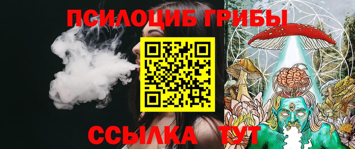 Псилоцибиновые грибы Psilocybe  Вход с VPN  Псилоцибиновые грибы мицелий  Усолье-Сибирское 